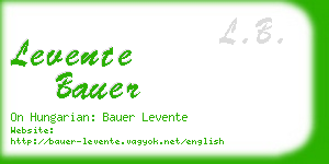 levente bauer business card